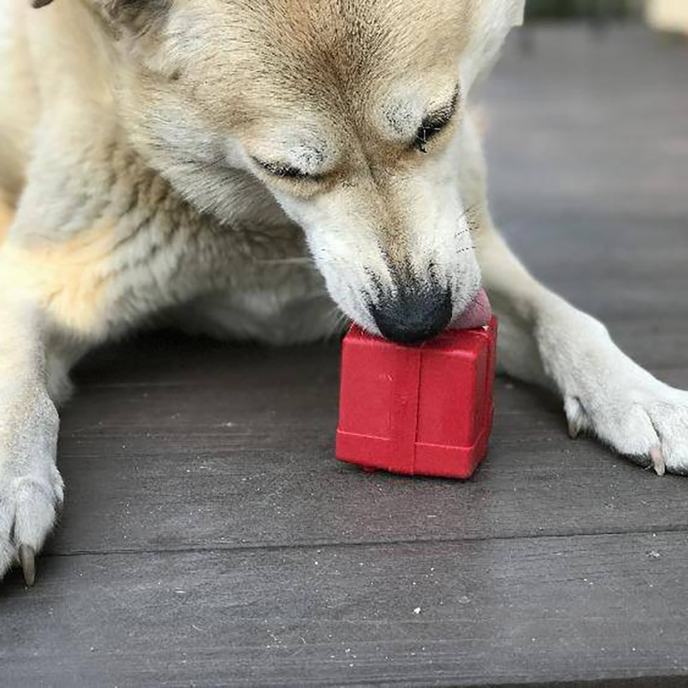 sodapup dog toys sp gift box durable rubber chew toy treat dispenser red 17560397512838 1024x1024@2x
