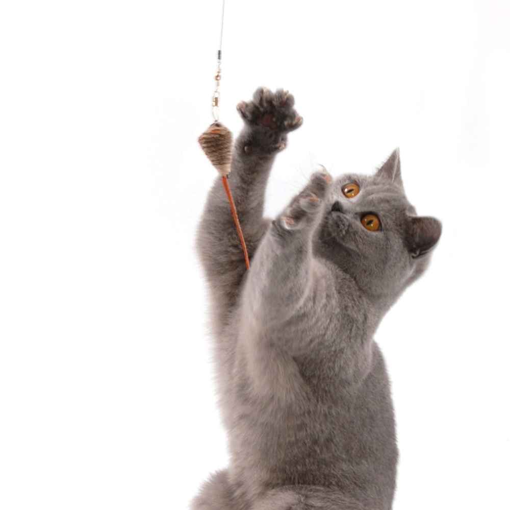 gocat cat catcher ersatzmaus fishing pole xl