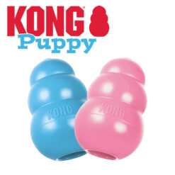 kong puppy 1